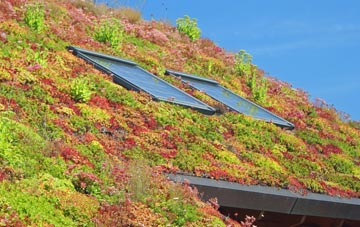 Leetown living roof systems