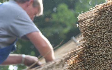 professional Leetown thatchers