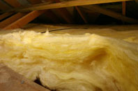 Leetown pitch roof insulation